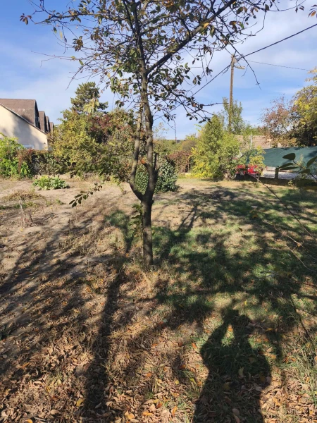 Eladó Lakás Szolnok 67 m2 